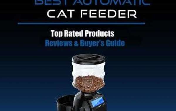 Petsmart Automatic Cat Feeder Reviews