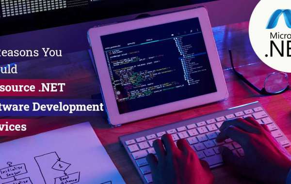 15 Reasons You Should Outsource .NET Software Development Services