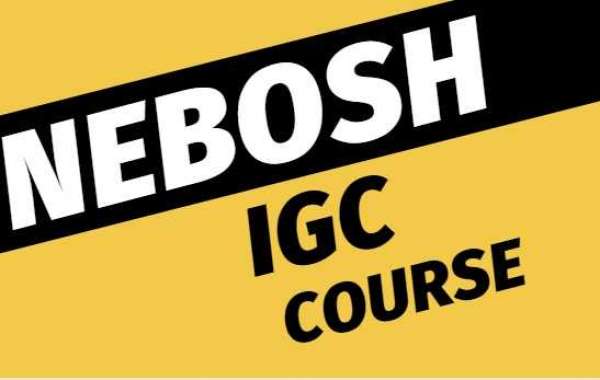 Why is the Cosmic Institute the stylish for Nebosh courses?