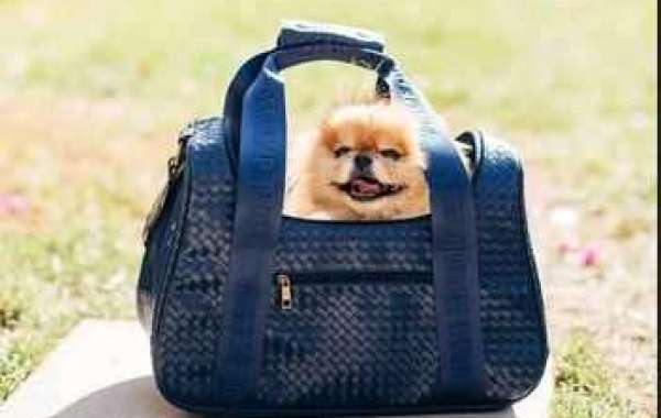 Designer Dog Bags At Posh Puppy Boutique