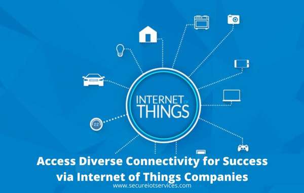 Access Diverse Connectivity for Success via Internet of Things Companies