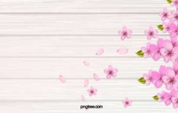 How To Discover The Finest Search Engine Optimisation Company