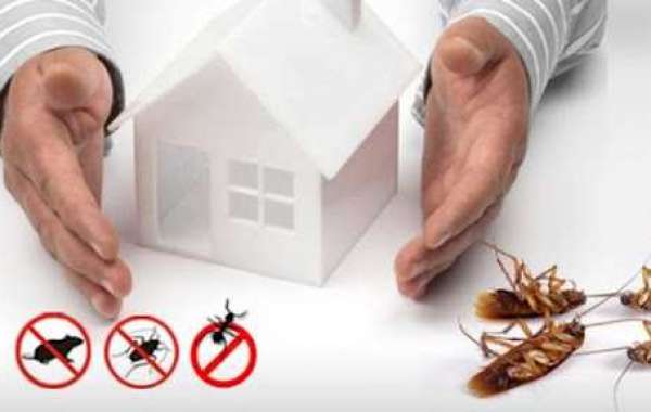 Tips For Having a Pest Free House