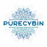 purecybin profile picture