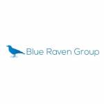 Blue Raven Group Profile Picture