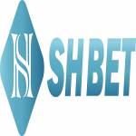 shbetbnett Profile Picture