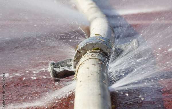 Hiring A Professional Plumbing Service To Solve Any Plumbing Issues You May Haveorth Austin Plumbing Services