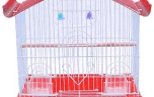 Buy Bird Cages & Houses Online in India
