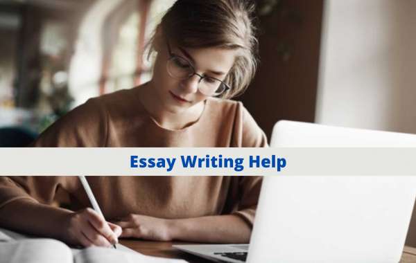 Essay Writing Help