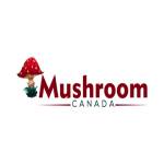 Buy Mushrooms Canada profile picture