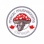 Magic Mushroom Canada profile picture