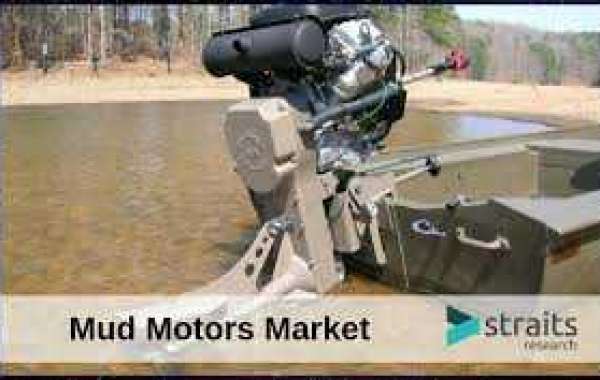 Global Mud Motor Market Trends 2022