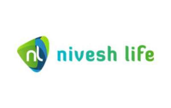 How Financial Consultants can Influence Nivesh life Analytical Skills?