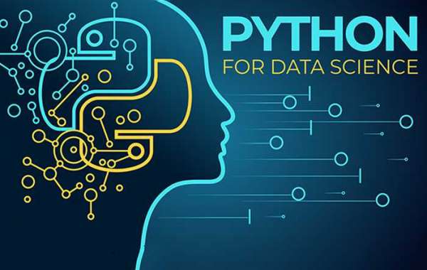 Many data scientists use Python to clean and visualize data