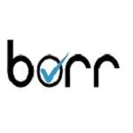 Borr In Profile Picture