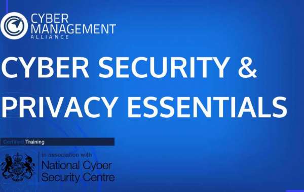 Cyber security consultancy