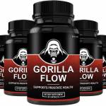 Gorilla Flow Profile Picture