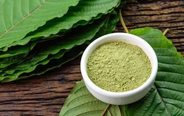 Where to Buy Kratom Online? Buy Kratom in Bulk