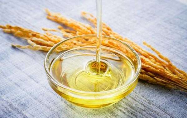 Rice Bran Oil Market Scope, Share, Key Driver, Key Players, Analysis and Forecast 2021-2026