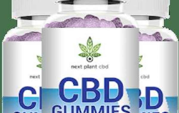 Next Plant CBD Gummies : Exposed Truth And Price!