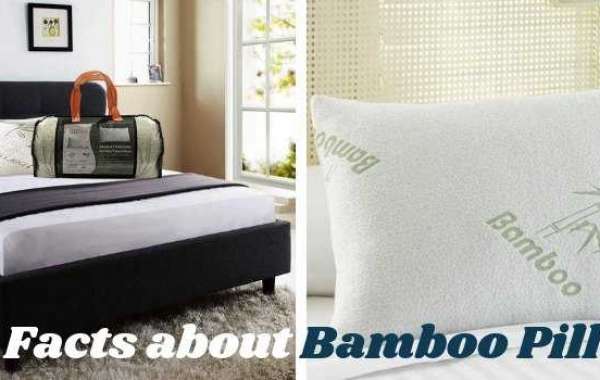 Why are Bamboo Pillows Good for You?