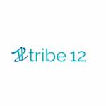 Tribe 12 . Profile Picture