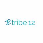 Tribe 12 . profile picture