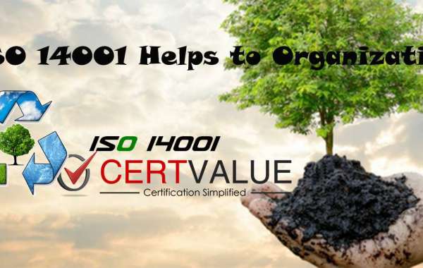 How does ISO 14001 Certification Services to help your business?