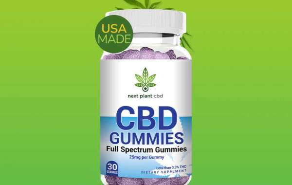 Next Plant CBD Gummies – How Do These Product Work?