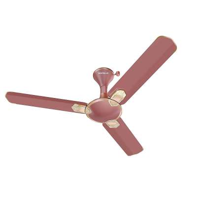 Buy Havells 1200 Mm Fan Carnesia I Met Brown-lt Copp At EMI Store Profile Picture