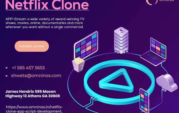 Netflix clone App Development Company