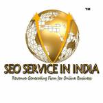 SEO Service In India Profile Picture