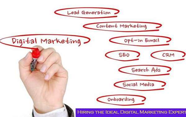 Hiring the Ideal Digital Marketing Expert