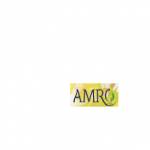 Amro Profile Picture