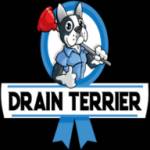 Drain Terrier Profile Picture
