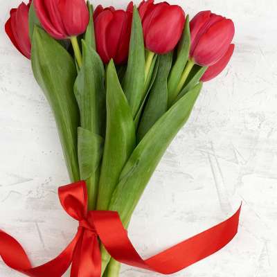 Buy Bouquet of Red Blooming Tulips Profile Picture