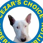 CEZAR'S CHOICE Profile Picture
