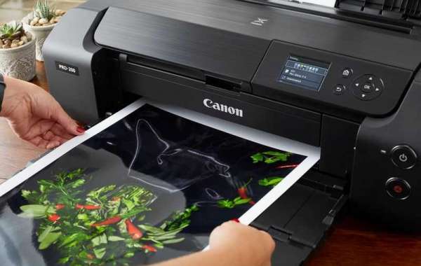 How Do I Fix Canon Printer with Error Codes? – Here’s How You Can Fix It