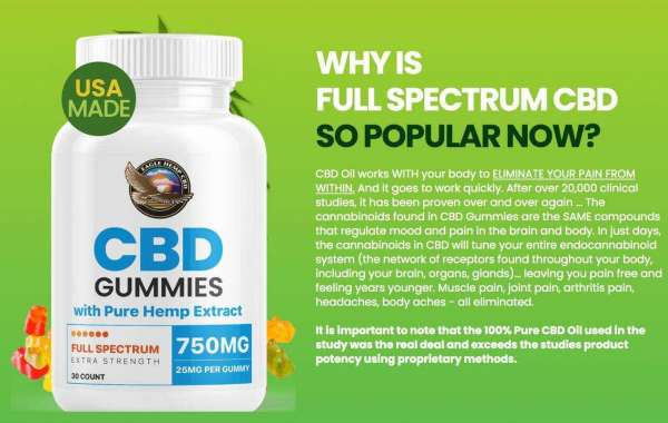 Green Dolphin CBD Gummies Work , What To Know Before Using It??