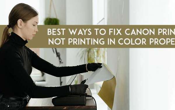 How to Deal with Canon Printer Not Printing in Color?