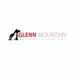 Glenn Mountain Profile Picture