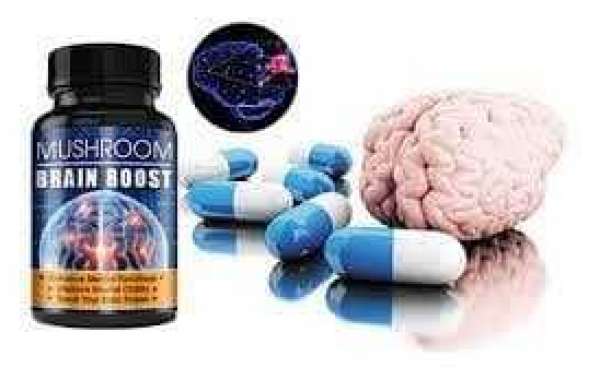 mushroom brain boost reviews