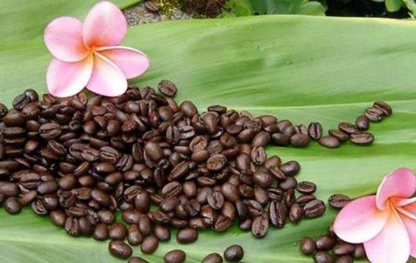 Top 4 Benefits Of Drinking Premium Coffee