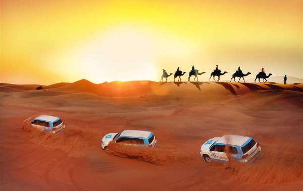 Top 10 Family Tourist Attractions In Dubai