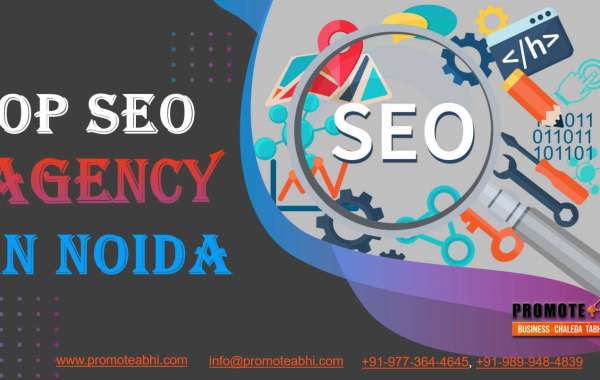 Top SEO Agency in Noida - Promote Abhi