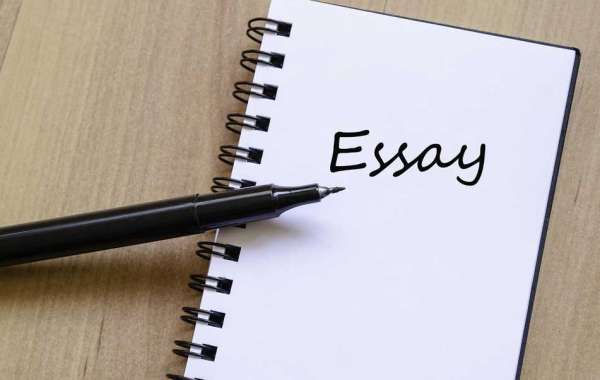 The website that provides the best essay writing assistance