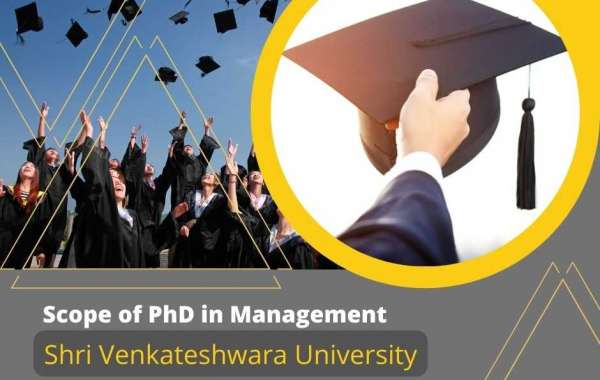 What is the scope of a PhD in management studies?