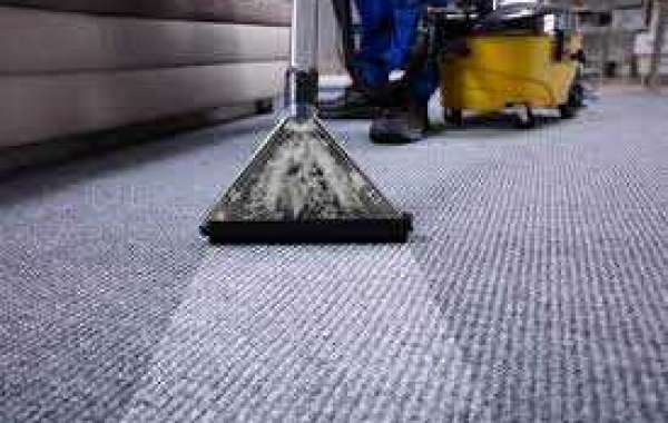 Professional carpet cleaning by Brooklyn