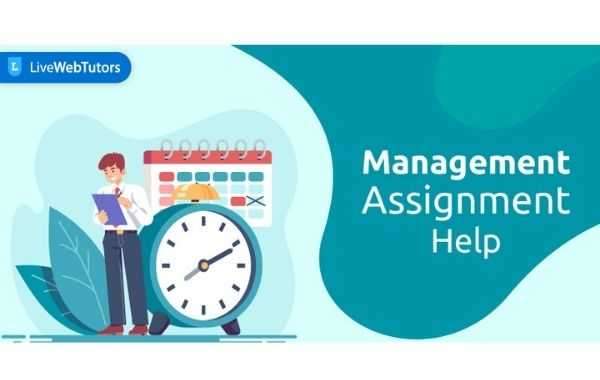 How to Choose the Best Online Management Help?