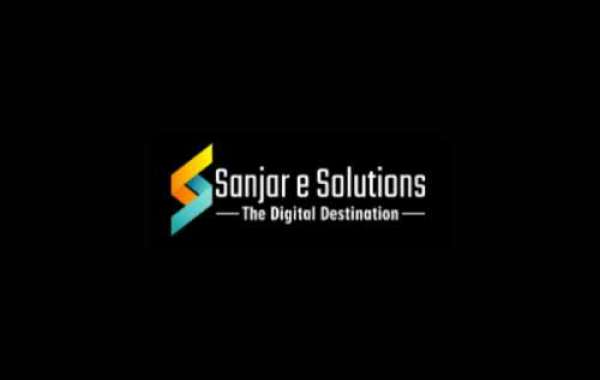 Web Designing and Digital Marketing Agency | Sanjar e solution